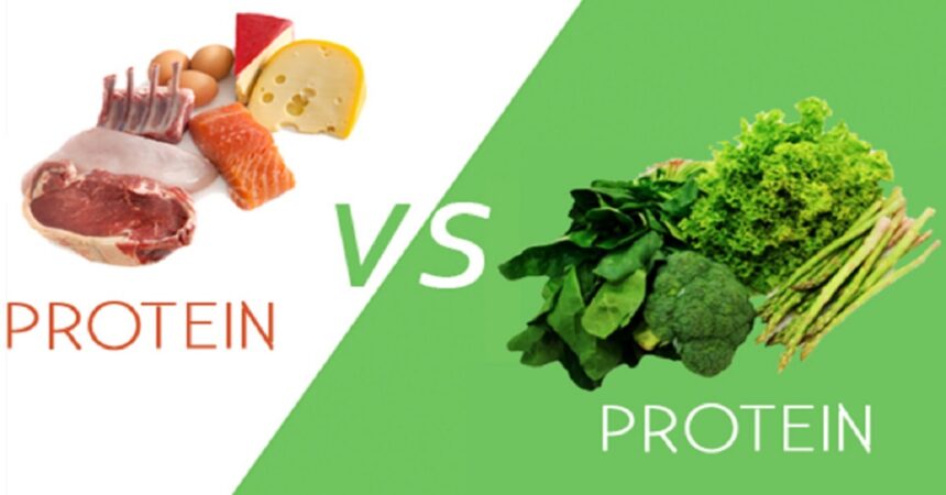 Animal-Protein-vs-Plant-Protein