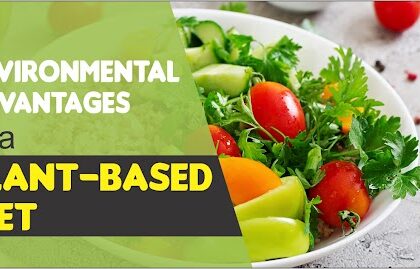 Environmental Advantages Of A Plant-Based Diet