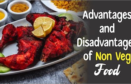 advantages and disadvantages of non vegetarian food