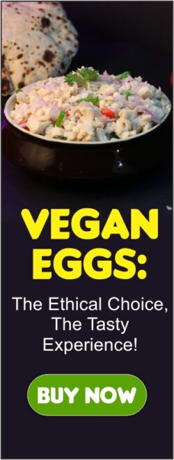 Vegan egg