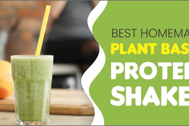 Best Homemade Plant Based Protein Shakes