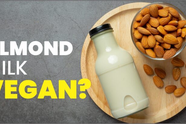Is Almond Milk Vegan?